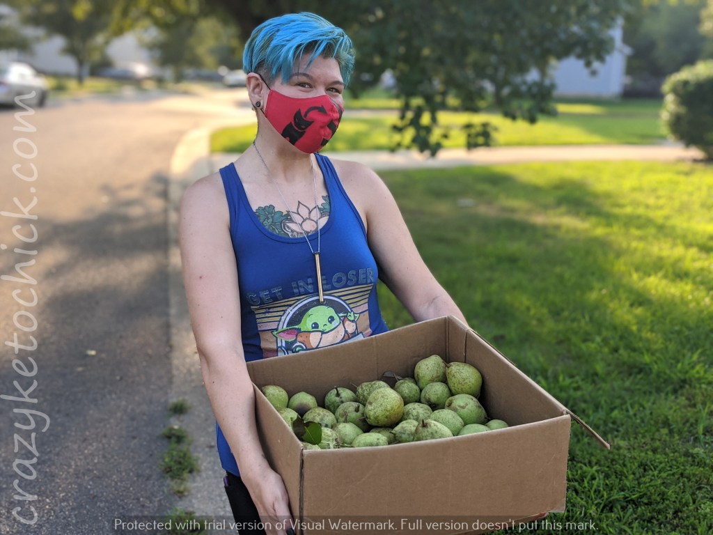 Homemade InstaPot Pear Butter – Dirty KETO&nbsp;Version