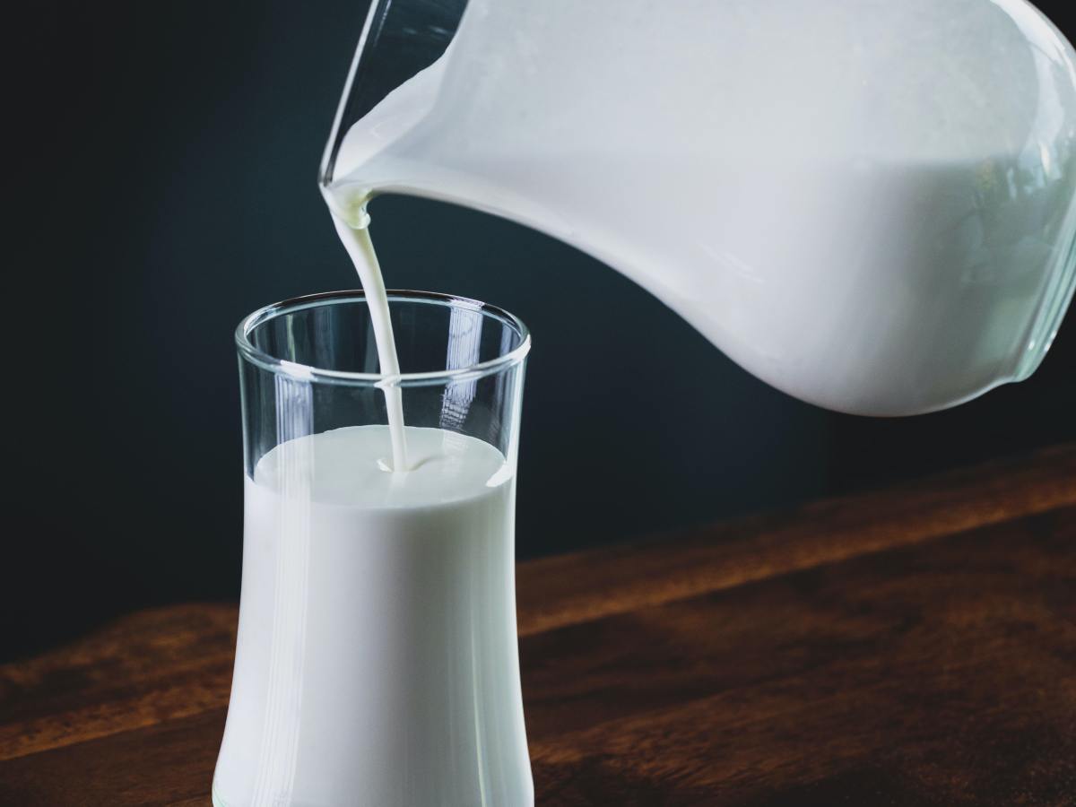 What Milk Is Best for Keto? Your Complete Guide to Keto-Friendly Milk&nbsp;Alternatives
