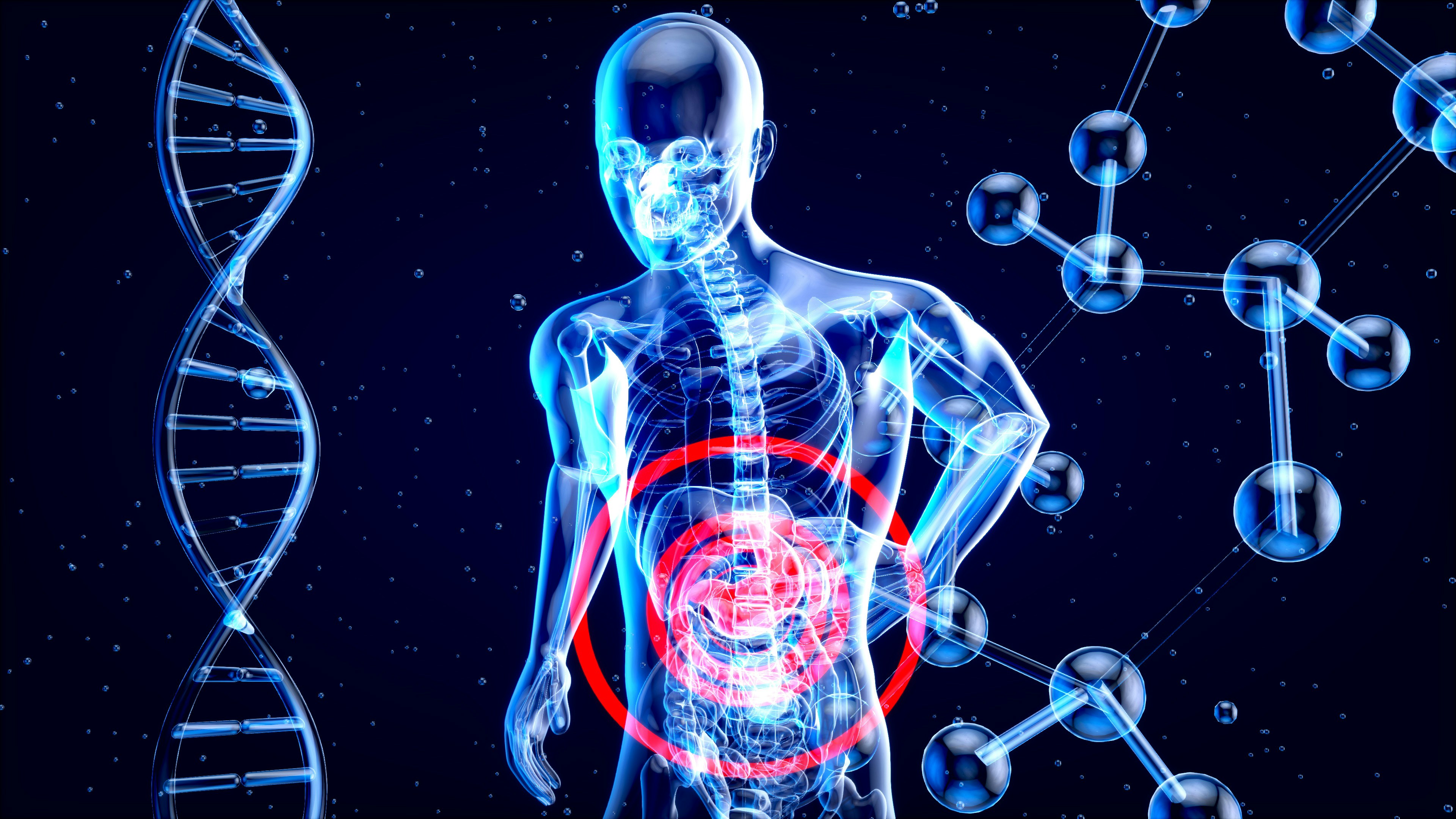 Keto & Gut Health: The Complete Microbiome Guide 🦠